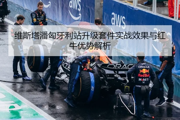 维斯塔潘匈牙利站升级套件实战效果与红牛优势解析