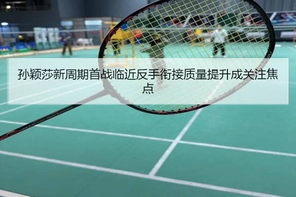 孙颖莎新周期首战临近反手衔接质量提升成关注焦点