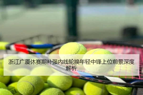 浙江广厦休赛期补强内线轮换年轻中锋上位前景深度解析